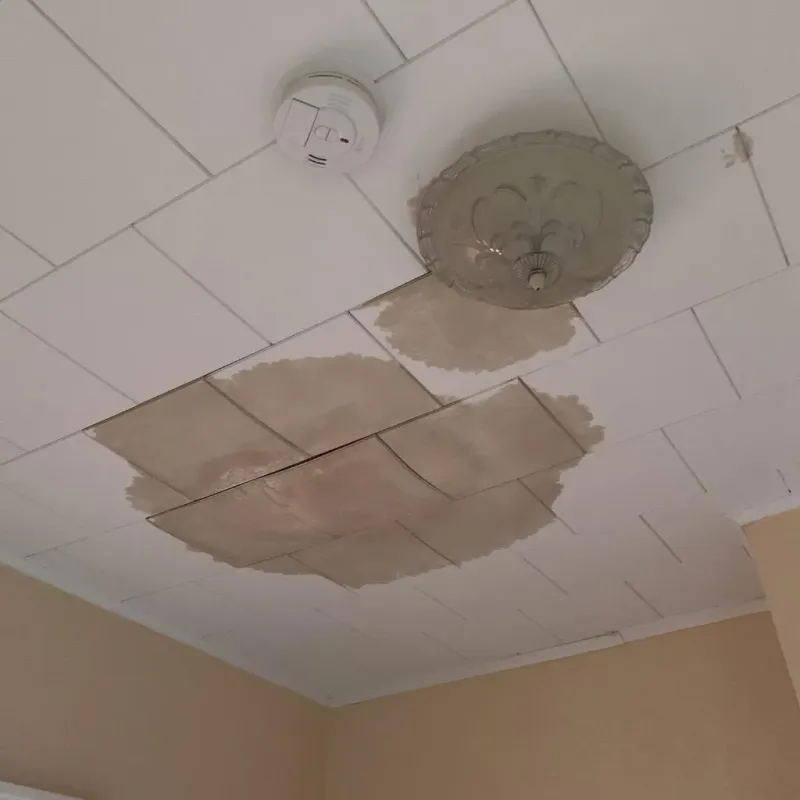 Ceiling Water Damage Repair in Falls Creek, PA